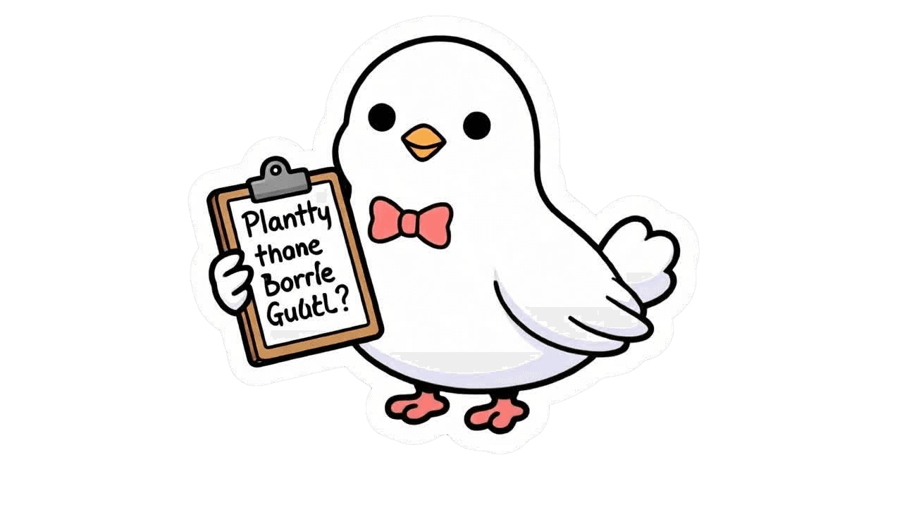 Aurora choosing a storage plan